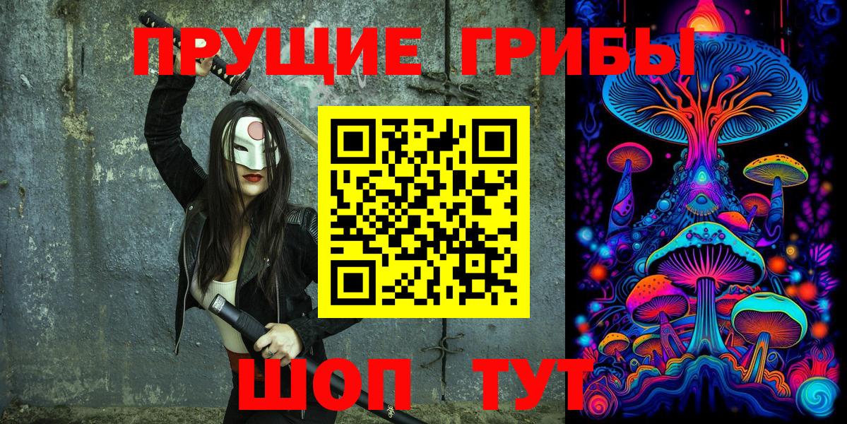закладки  Галлюциногенные грибы Magic Shrooms  Вход с VPN  Корсаков 